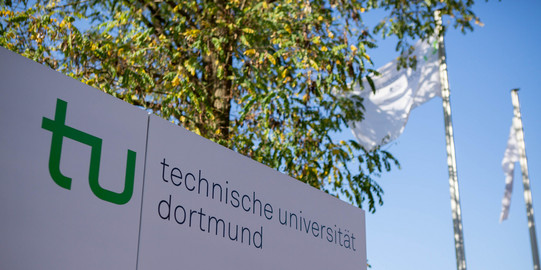 Info point with flags and a tree in the background.